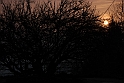 S. Damiano d'Asti - Alba_019